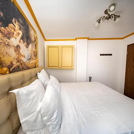 ホームステイ Casa Nobilis Foisor *